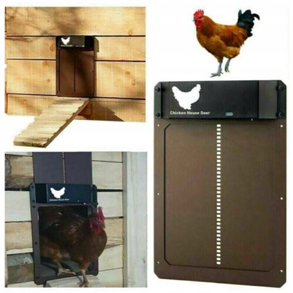 AUTOMATYCZNE DRZWI DO KURNIKA INTELIGENTNE DRZWI Kod producenta 00156PT