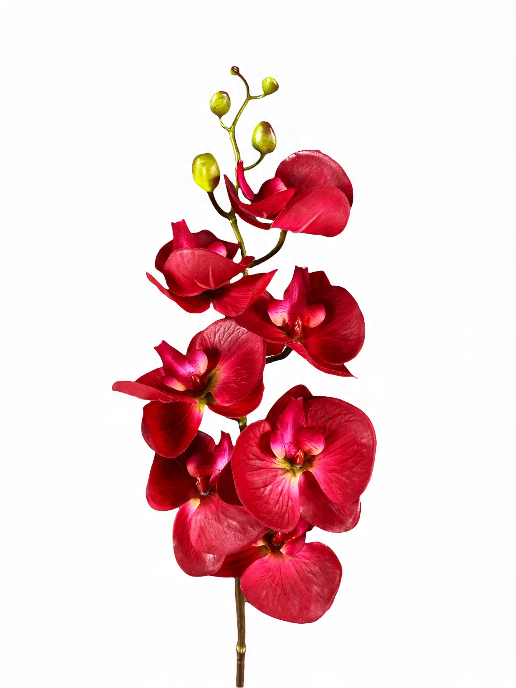 

Storczyk Czerwony Silikonowy Orchidea Gałązka