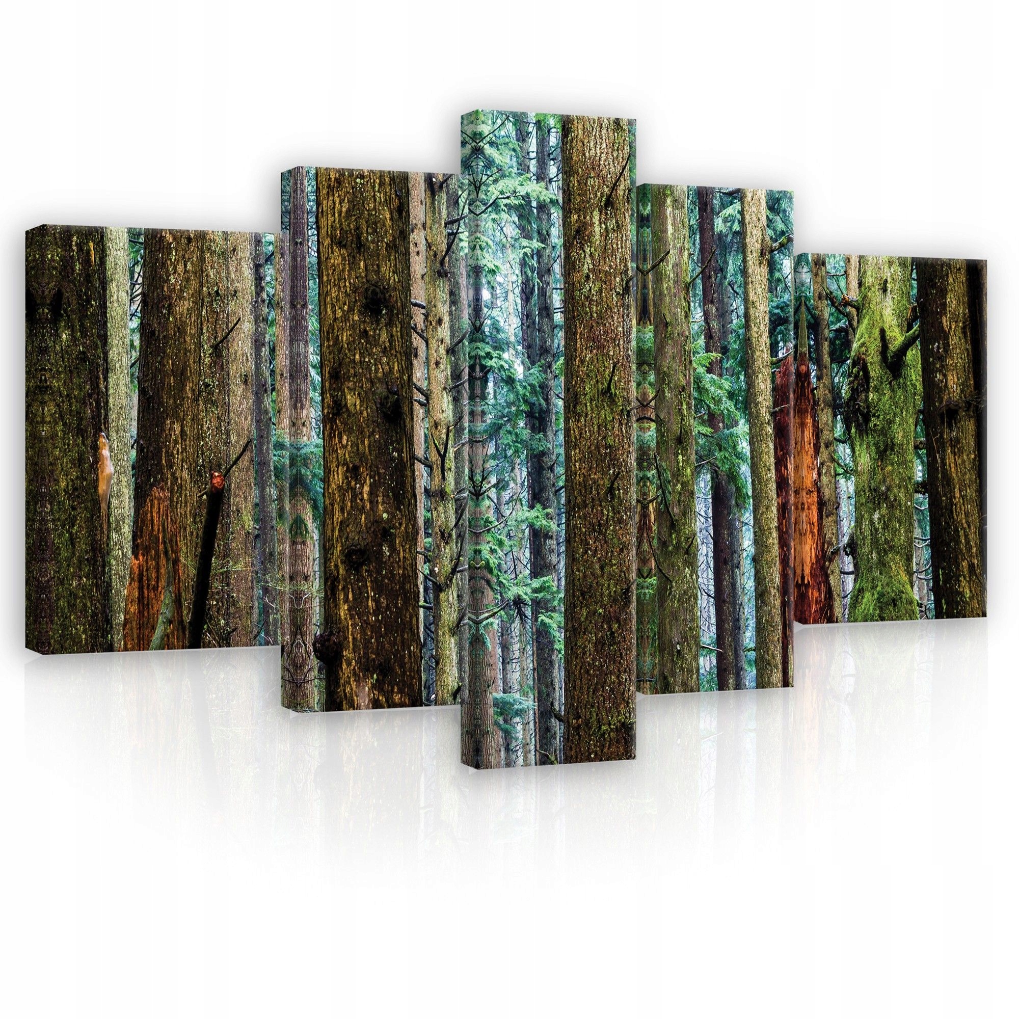 Obraz 170x100 Ihličnatý les príroda stromy zelená pokoj harmónia dekor umenie