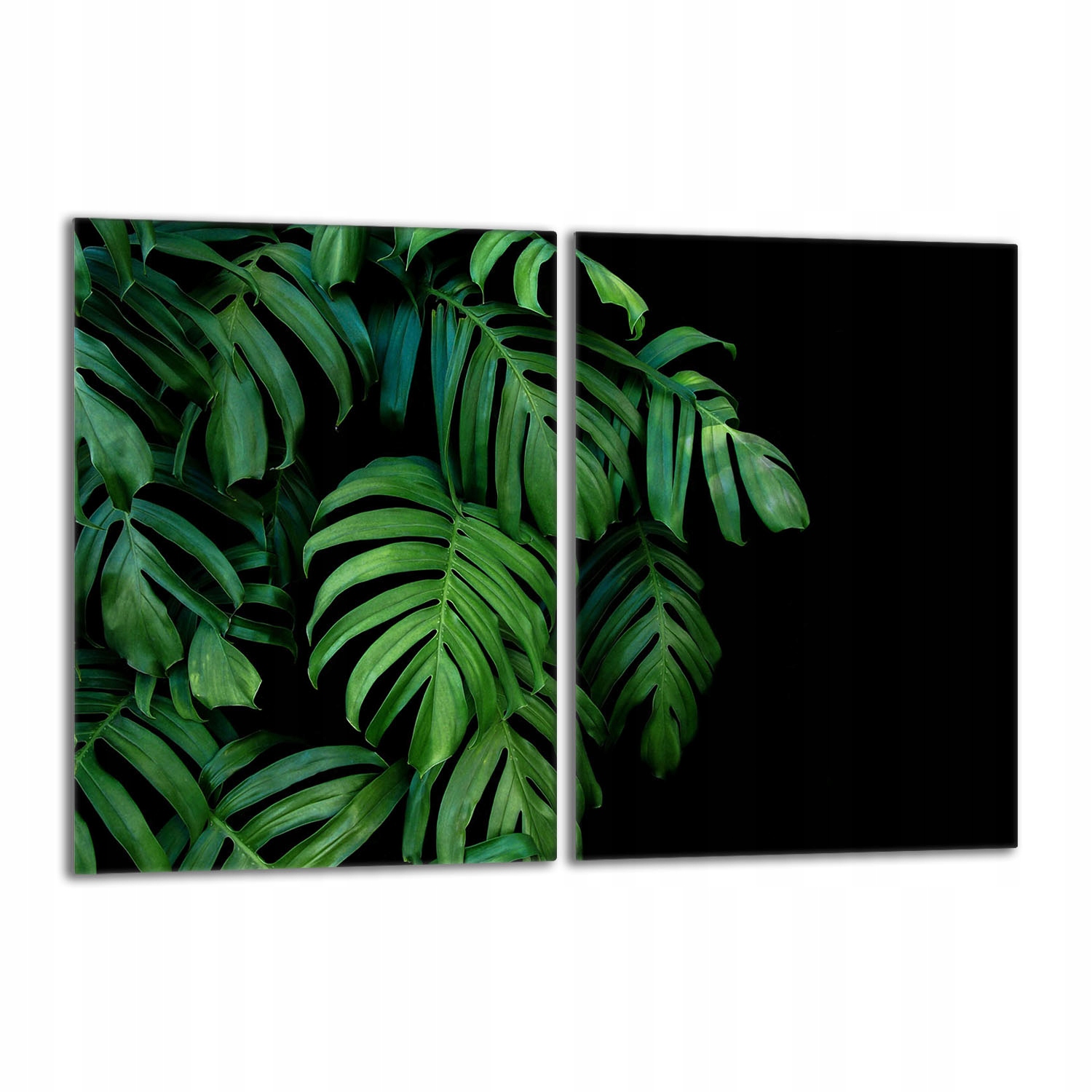 Skleněná ochranná deska na sporák 40x52 Monstera Do Kuchyně