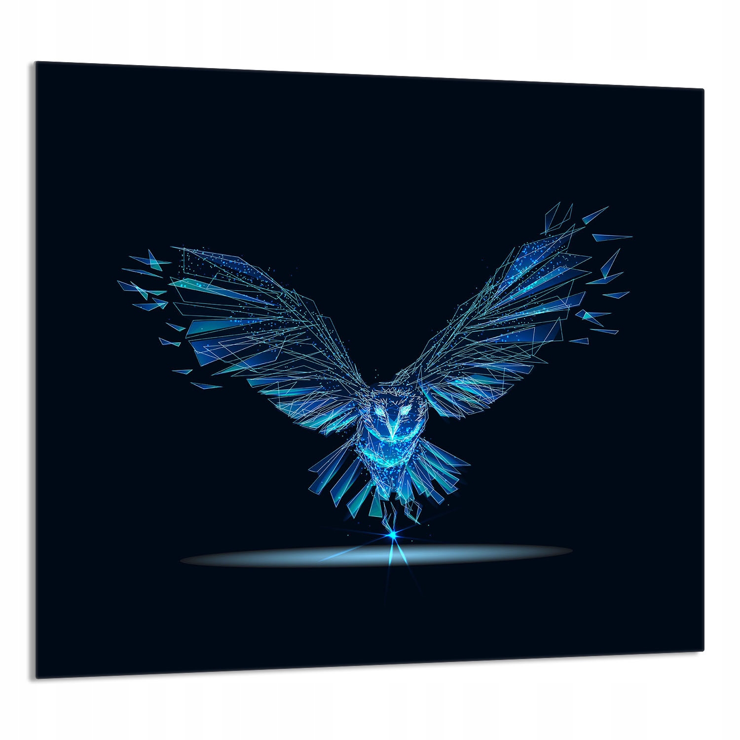 Skleněný Panel Do Kuchyně 65x60 Pták Tvrzené Sklo