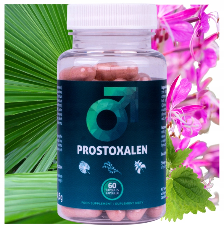 PROSTOXALEN NA PRZEROST PROSTATA PALMA SABAŁOWA Marka inna