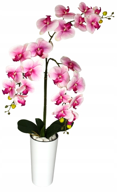 

Sztuczny Storczyk Orchidea Kwiat Silikonowy Duży