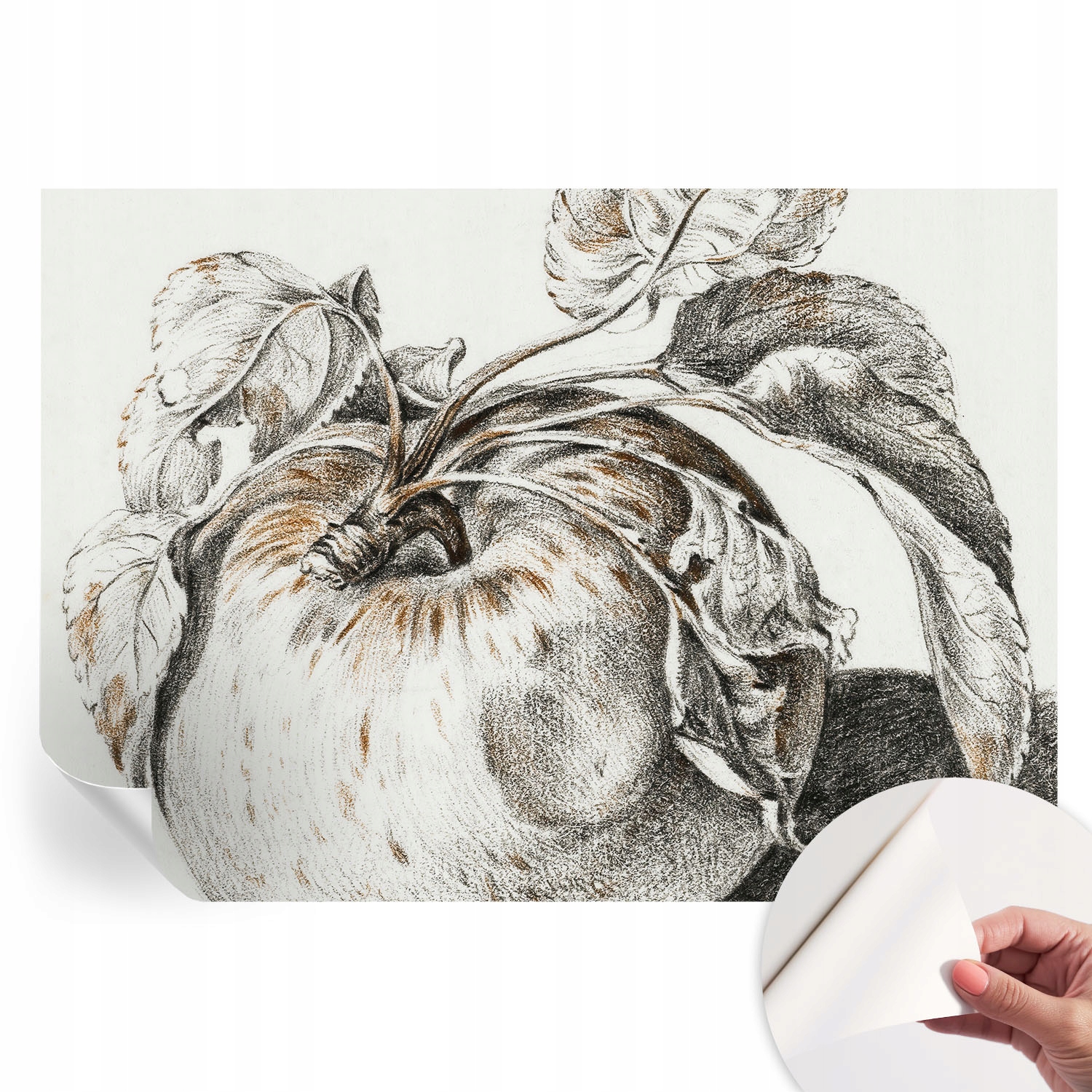 Fototapeta Samolepicí Dekorativní do kanceláře Jablko listy 312x219 cm