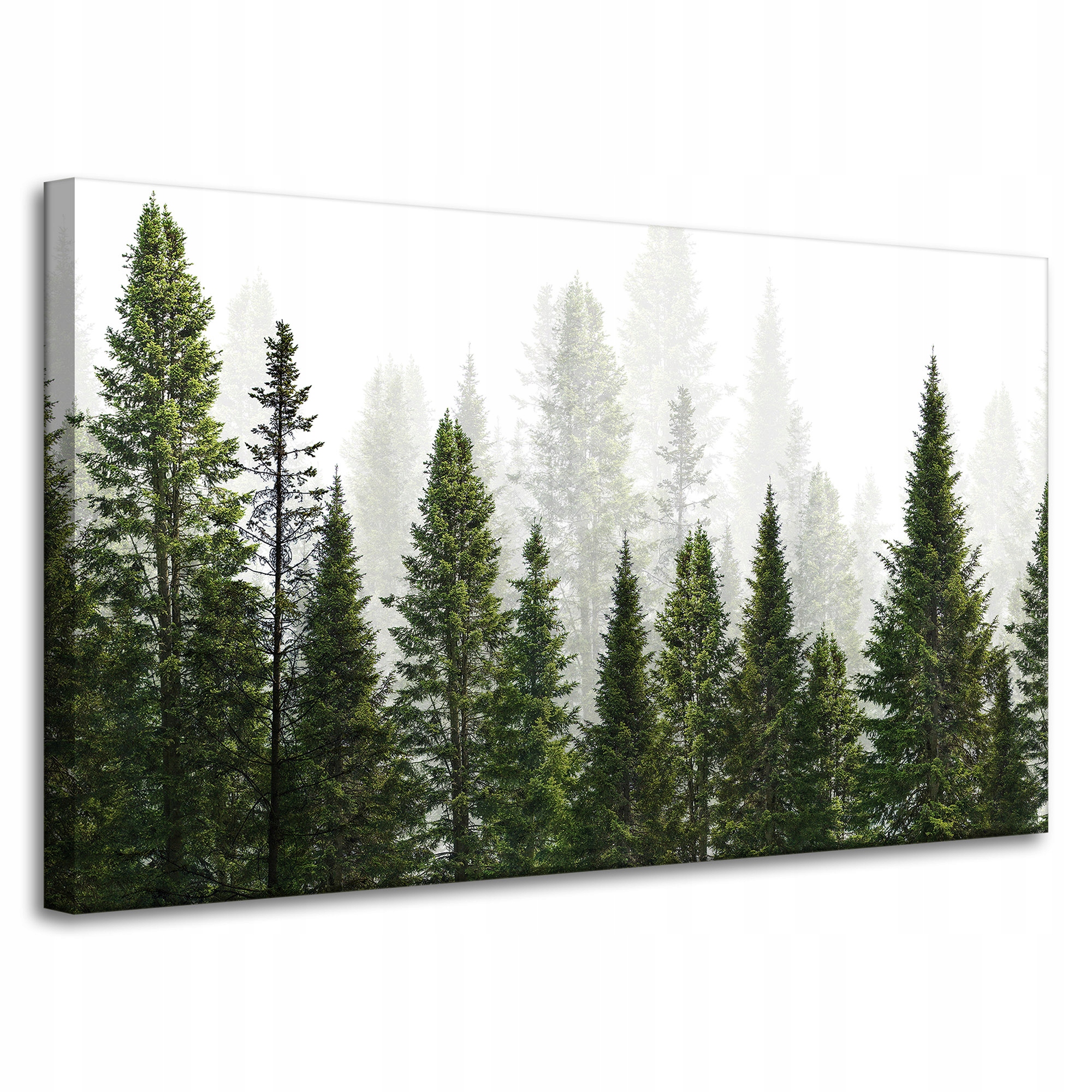 Obraz na plátně Dešťový les Příroda Stromy 100x60 cm