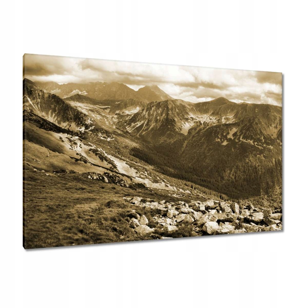 Obrazy 120x80 Tatry Polské hory Pohled