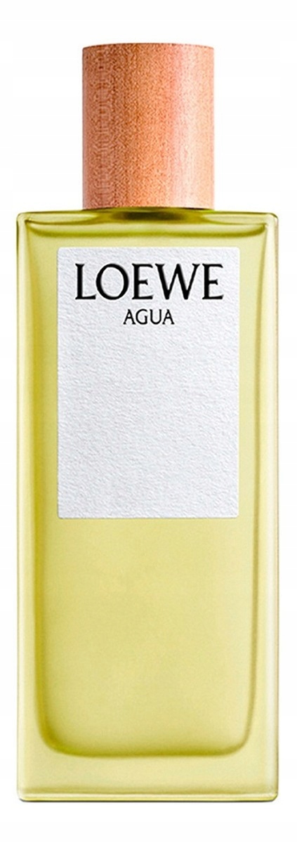 Loewe Agua Toaletní voda sprej 100 ml