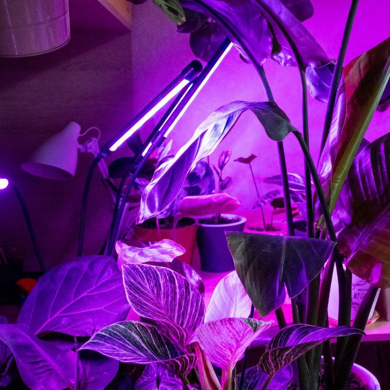 LAMPA DO WZROSTU UPRAWY ROŚLIN LED GROW LIGHT TIMER 9 POZIOMÓW ŚWIECENIA Długość 68 cm