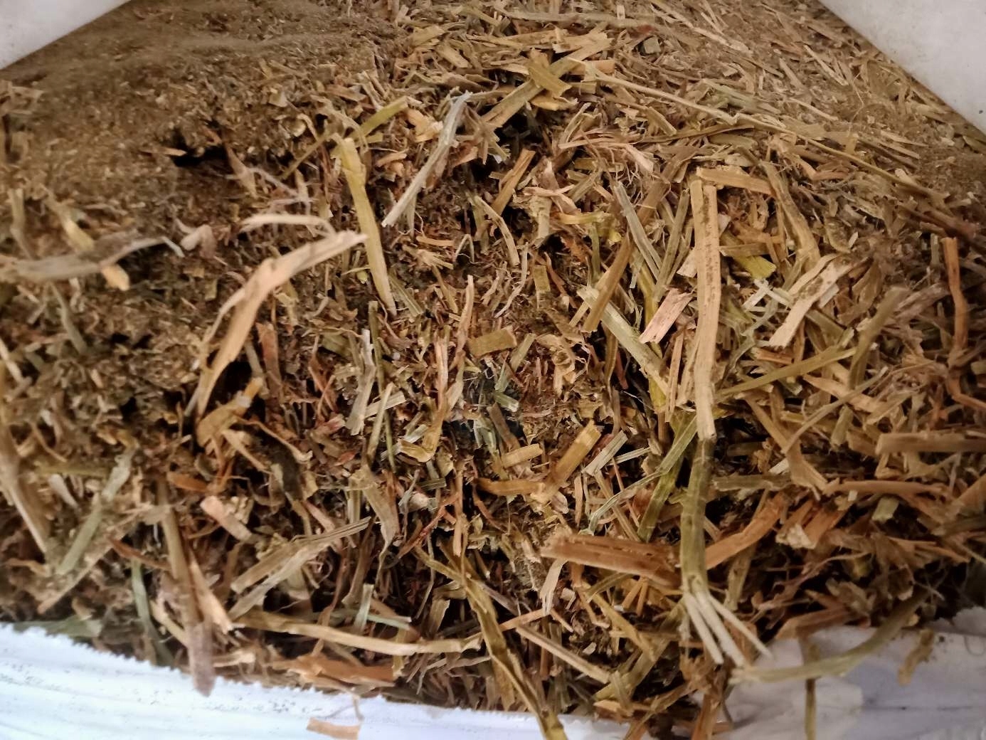 LUCERNA BALOT 9kg PASZA DLA ZWIERZĄT KONI NATURALNA WYSOKA JAKOŚĆ EAN (GTIN) 5907080472275