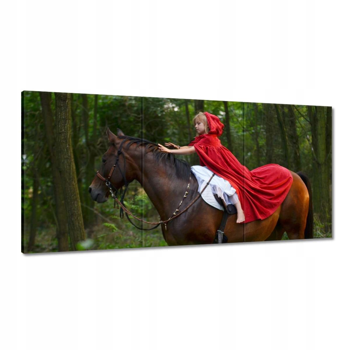 Obrazy 120x60 Kůň Koně Jezdectví