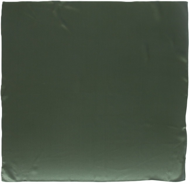 Hedvábná šála Dámská šála na krk 100% hedvábí Šála hladká Zeleň