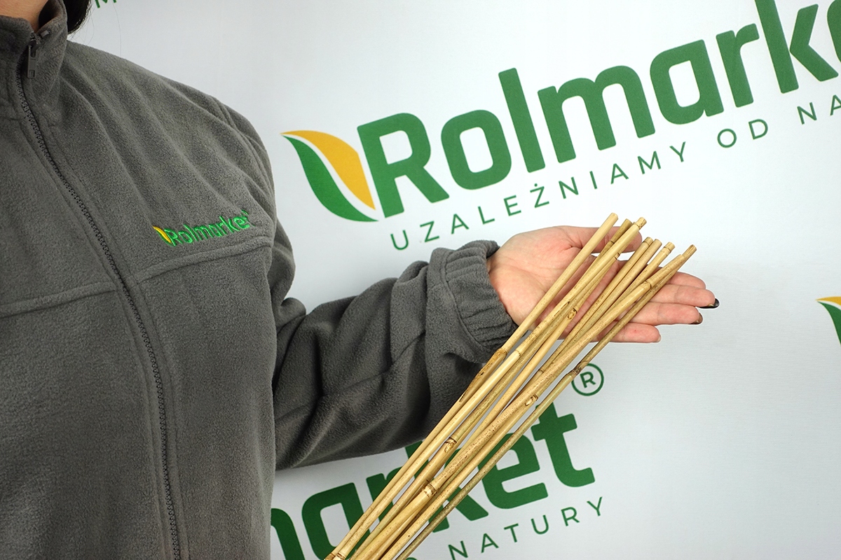 100x PODPORY TYCZKI BAMBUSOWE wysokie na pomidory FASOLĘ 14-16 mm 180 cm Producent Rolmarket