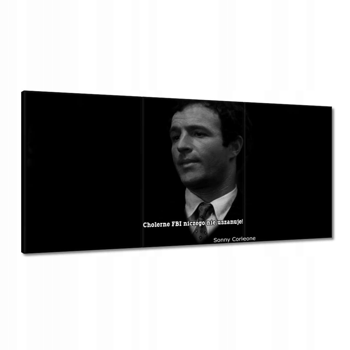 Obrazy 180x90 Godfather Sonny Citáty