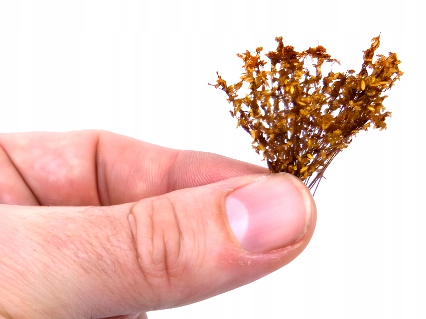 Tall Shrubbery - Dry Natural - wysokie krzewy Producent Green stuff world