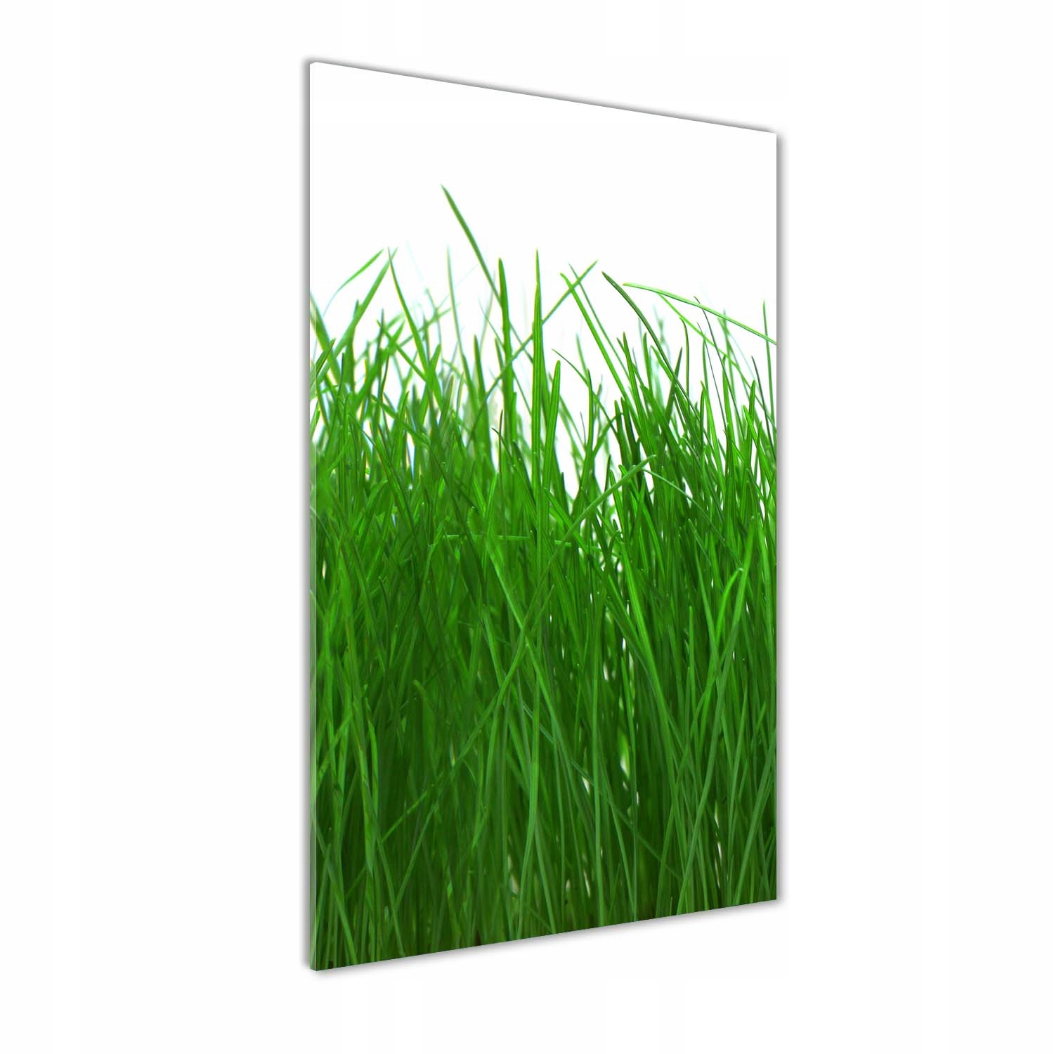 

Fotoobraz szklany na ścianę do salonu Trawa 70x140