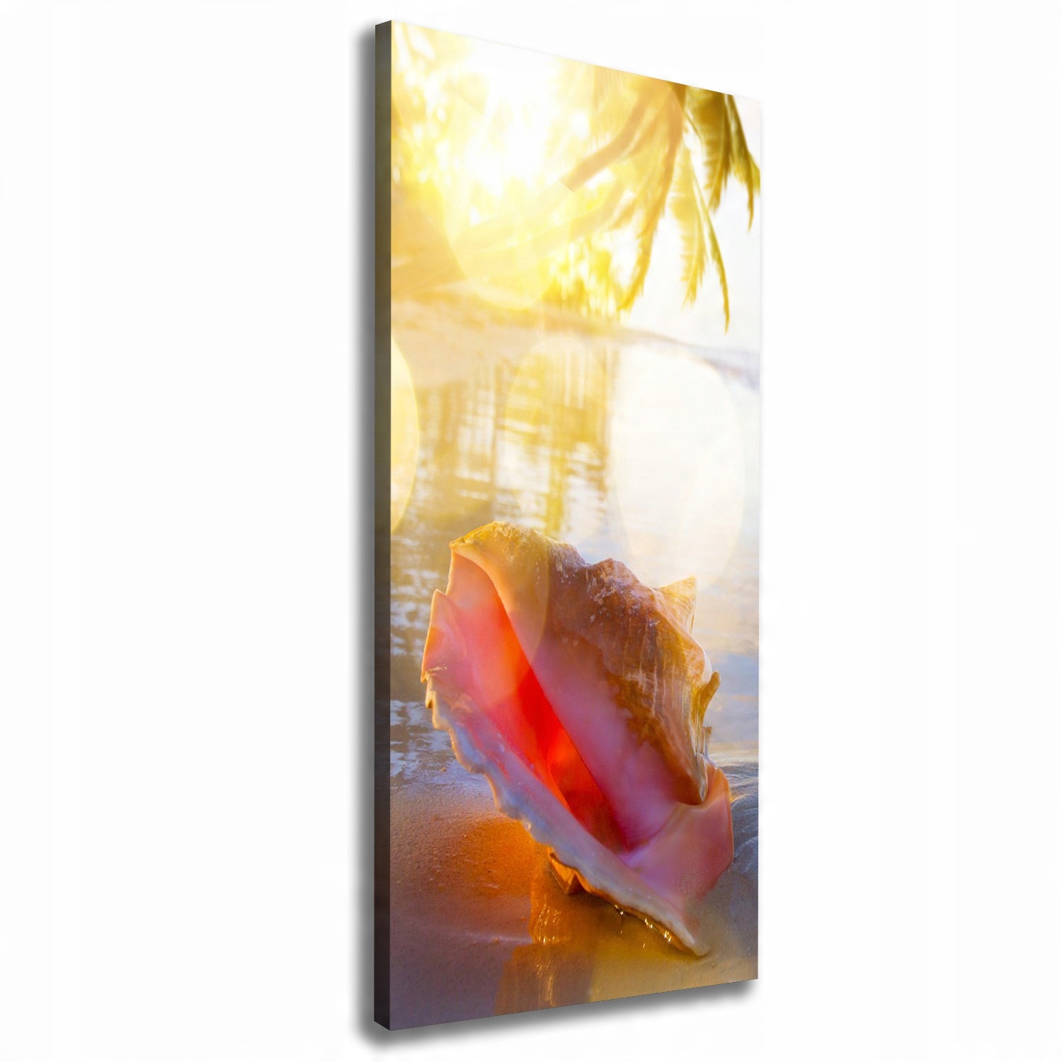 

Foto obraz na płótnie Muszla na plaży 50x125 cm