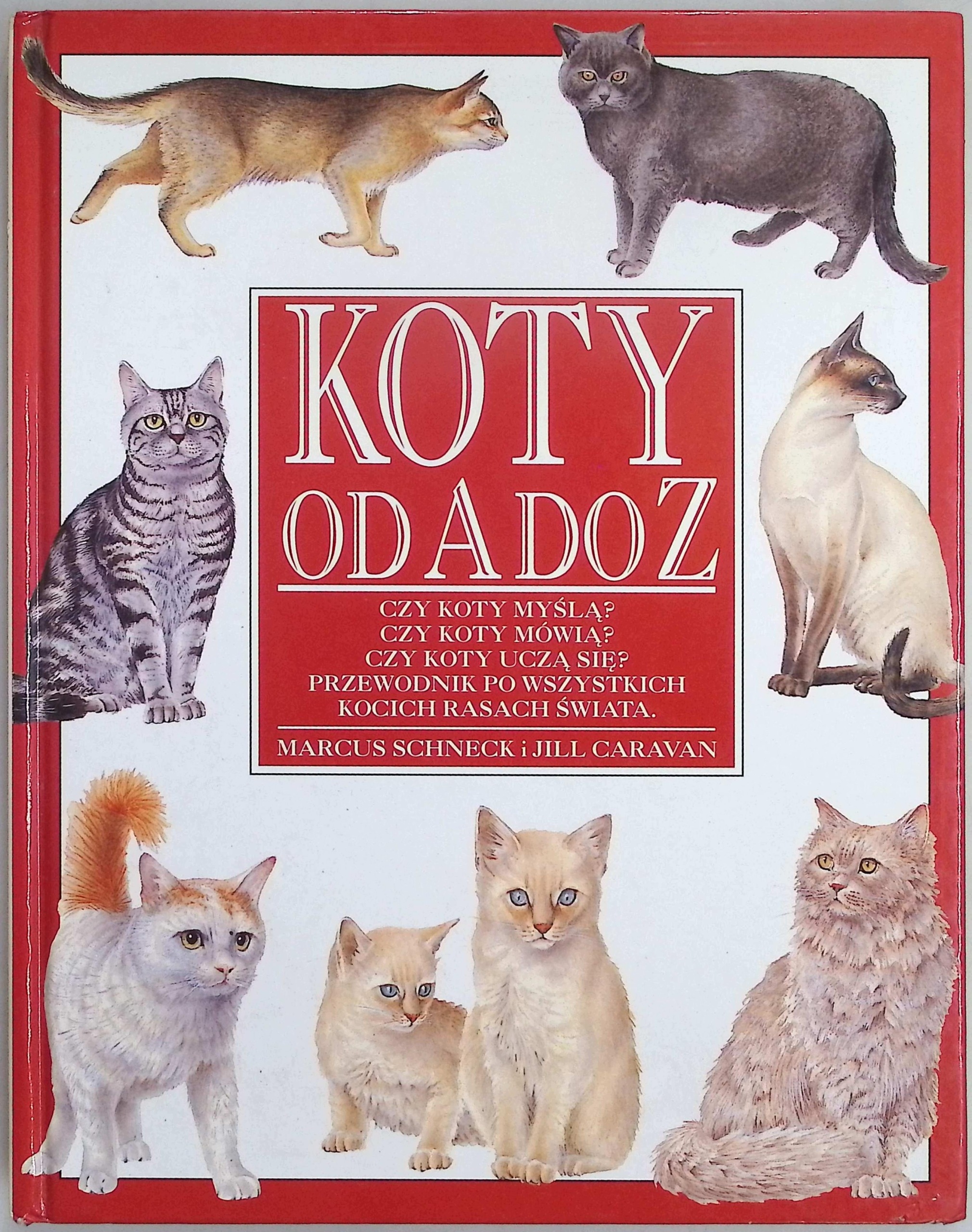 Koty od A do Z