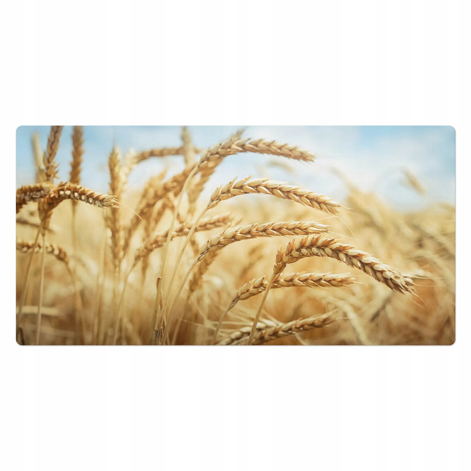 Vinylová ochranná podložka s moderním vzorem Klasové krajiny 100 x 50 cm