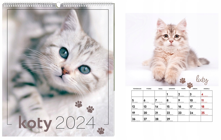 Настенный календарь на 2024 год на спиральных кошках Интерпринт: купить с  доставкой из Европы на AuAu.market - (14370428275)