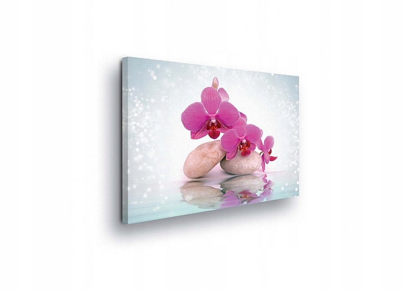 Obraz 100x75 Orchidej kameny lázně relaxace harmonie příroda klid voda