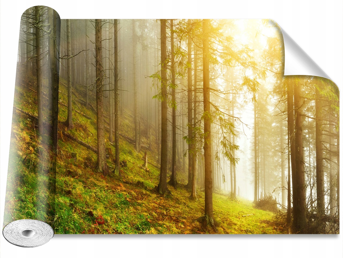 

Tapeta Samoprzylepna MagicStick Las 152x104