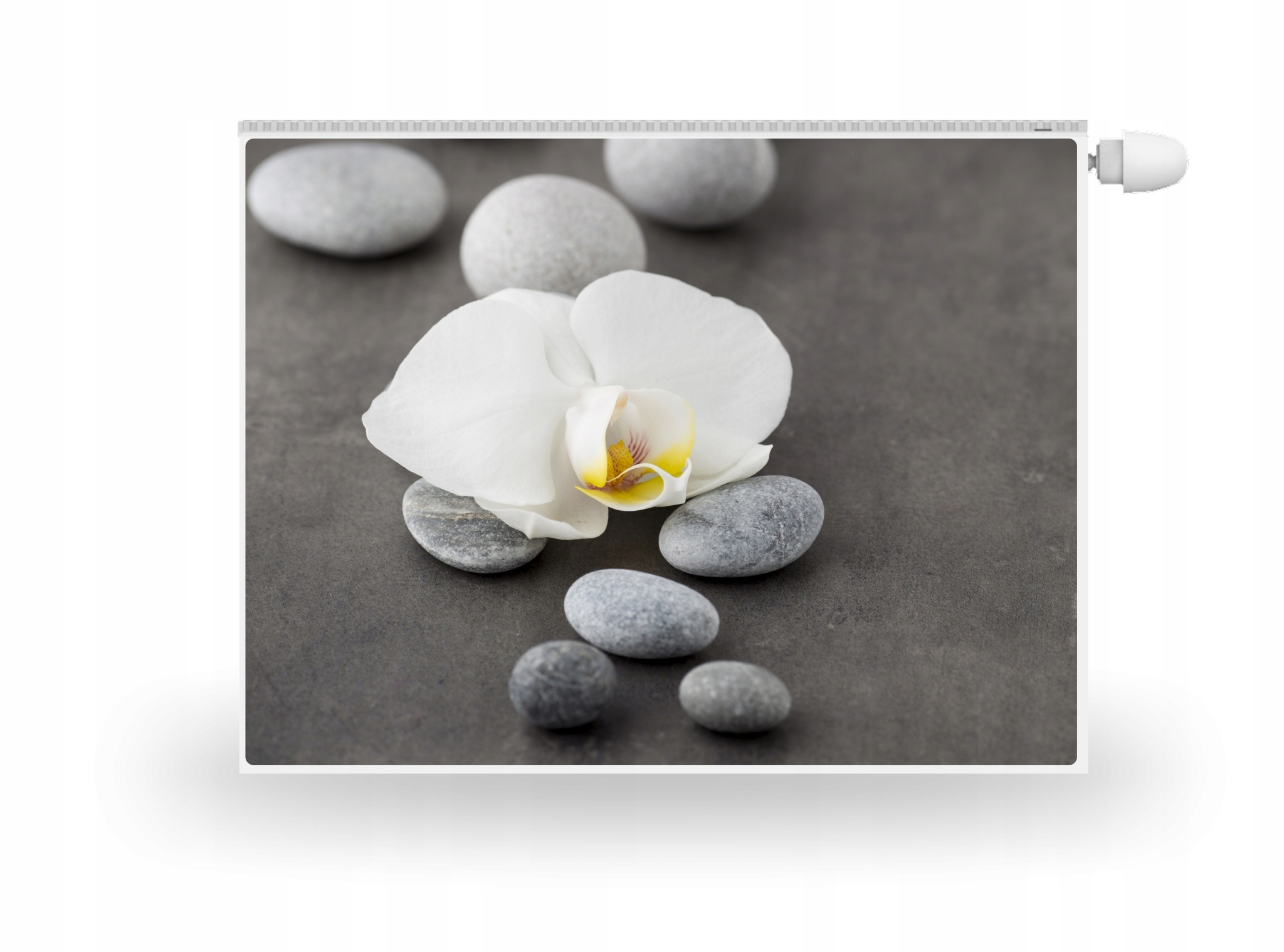 

Mata Magnes Na Kaloryfer Kwiat Kamyki Minimalizm