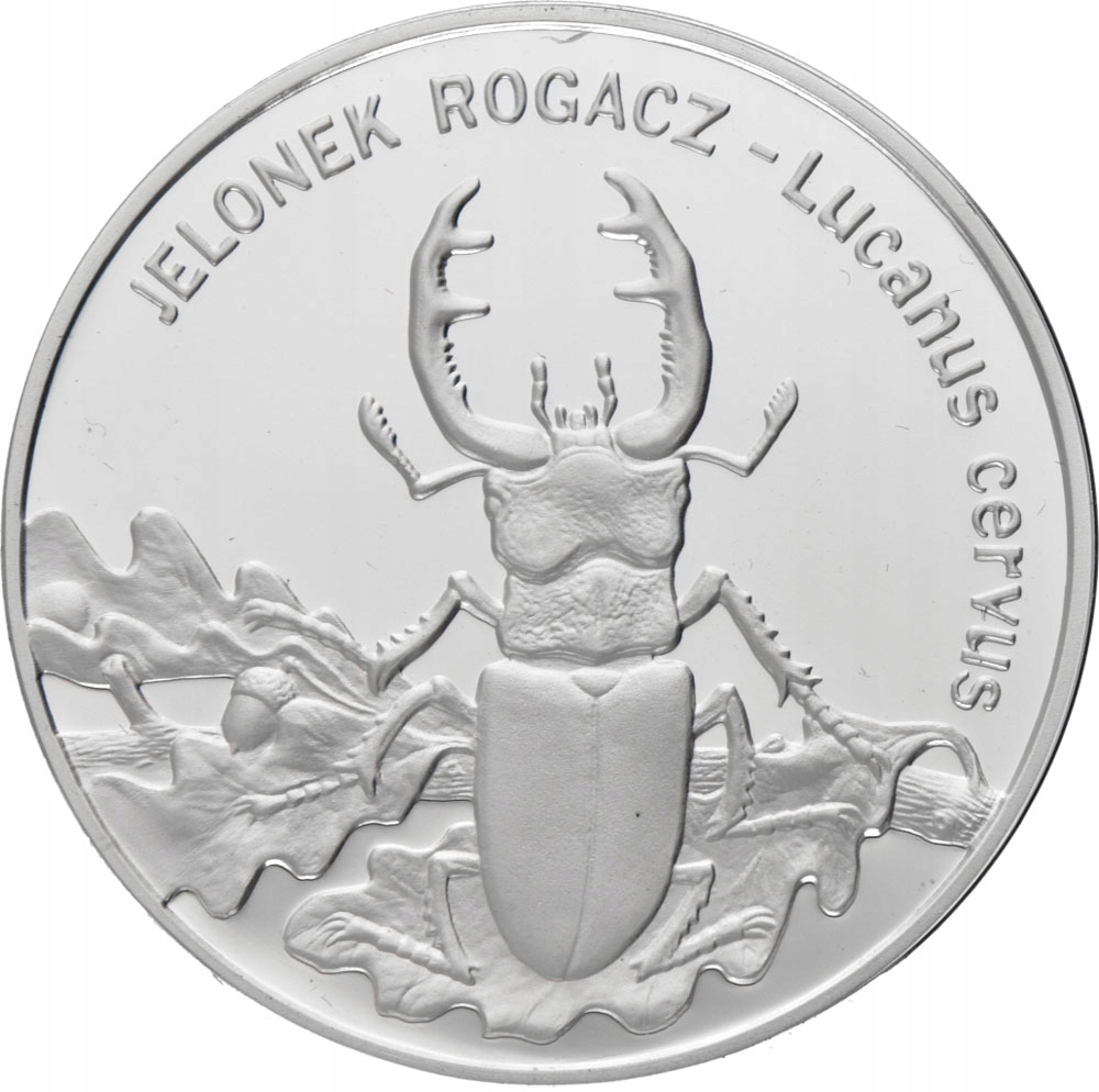 20zł Jelonek Rogacz (43-44)