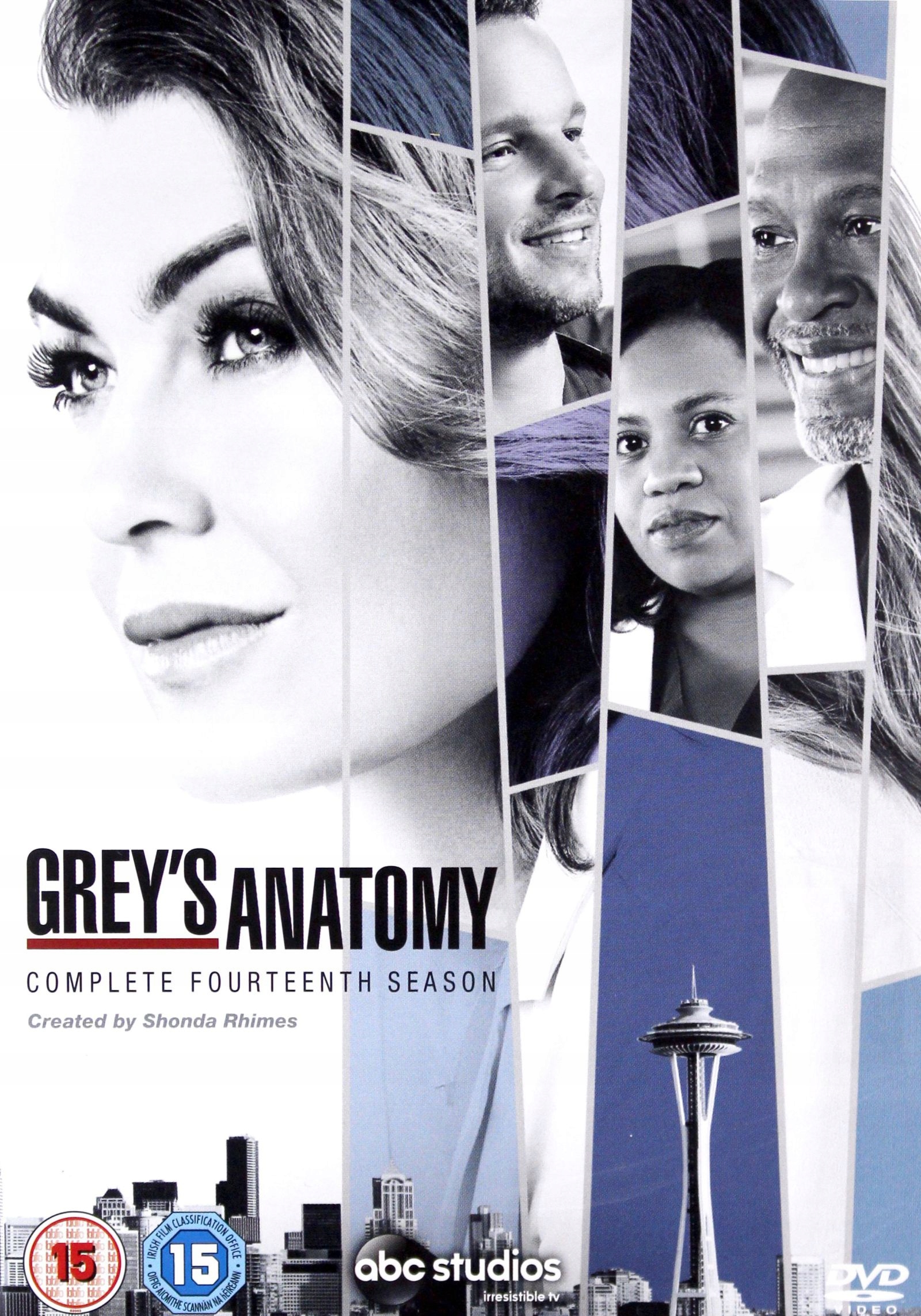 

Grey's Anatomy Season 14 (DVD)