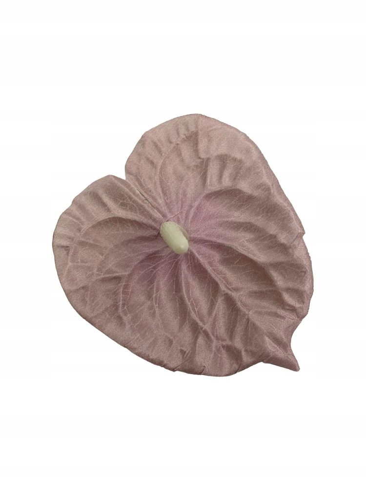 Anturium główka 14 cm brudny fiolet