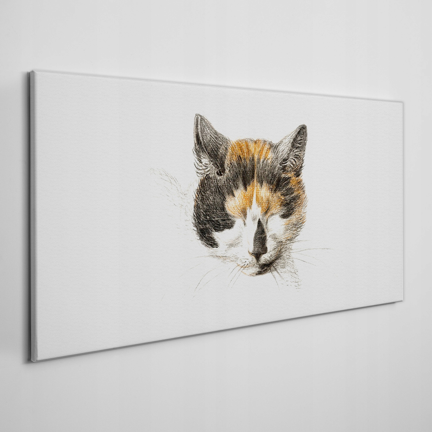 

Obraz na płótnie na ramie Zwierzę kot 120x60 cm