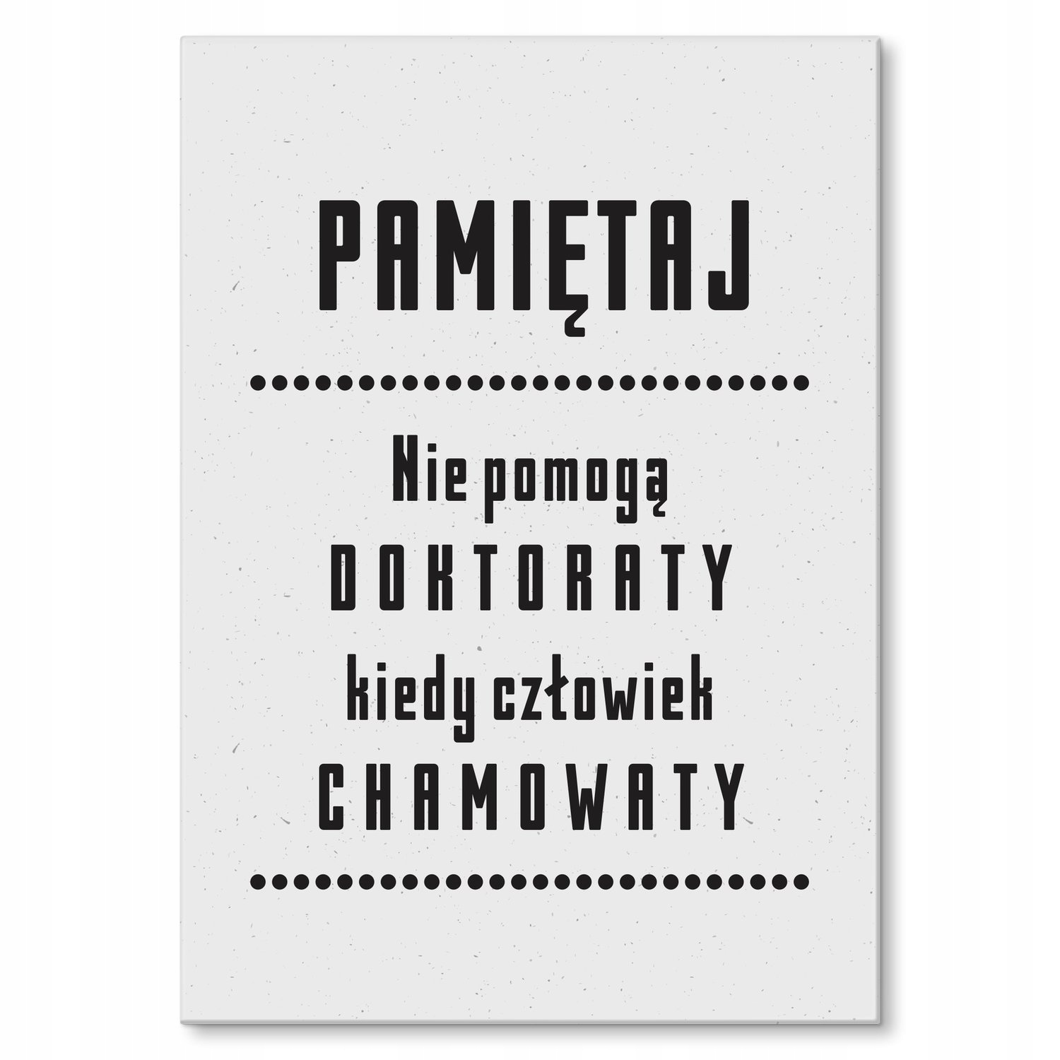 Kovový plakát nepomůže doktorátu Dárek 42 x 59 cm