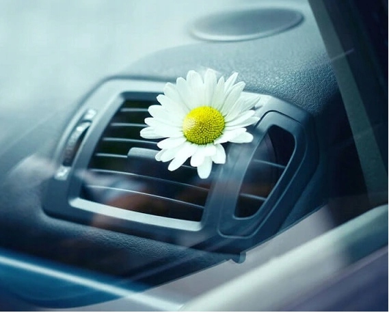 B069872242ff9d1b301cfd6f40d4