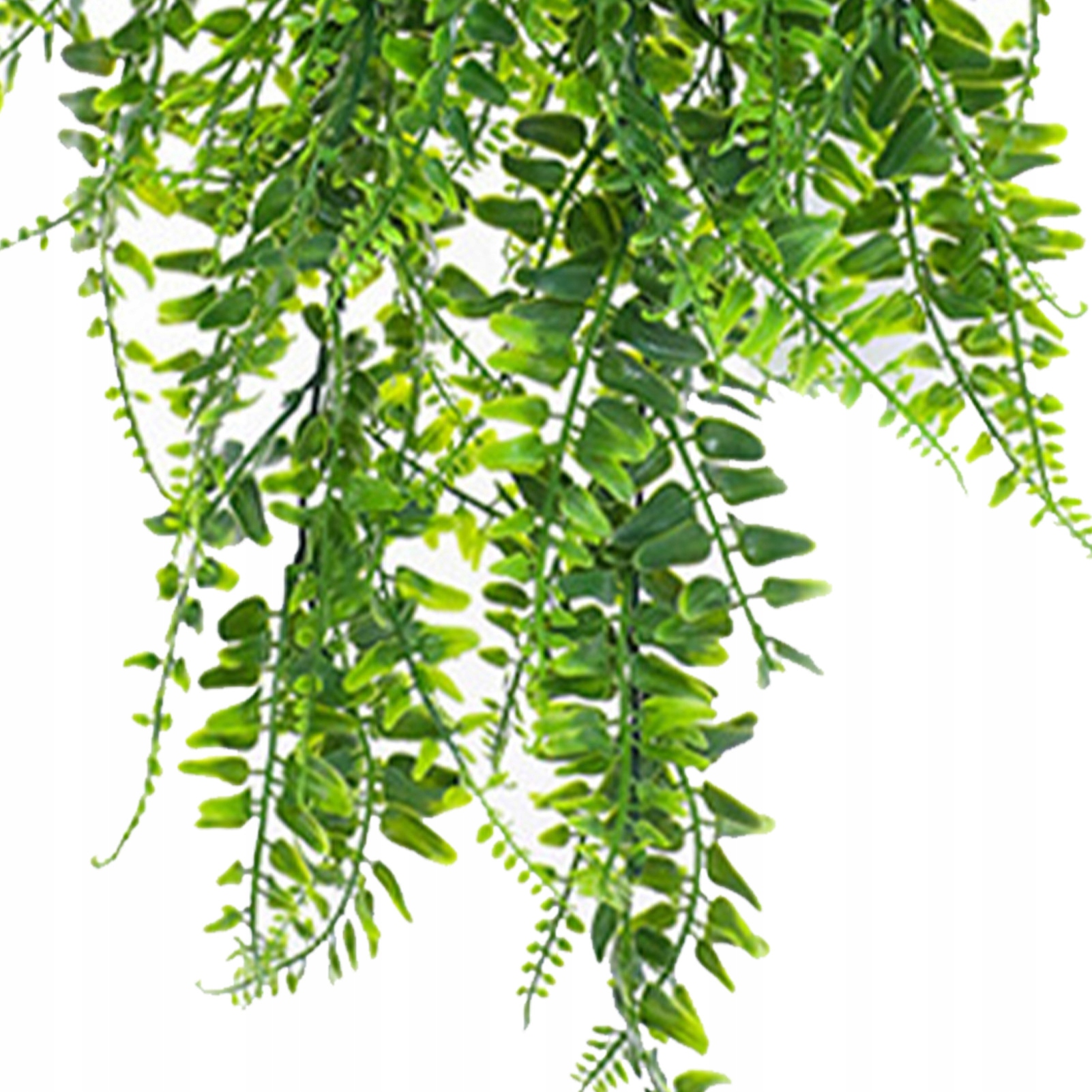 SZTUCZNE ROŚLINY WISZĄCE PAPROCI WISZĄCE ROŚLINY Waga produktu z opakowaniem jednostkowym 0.19 kg