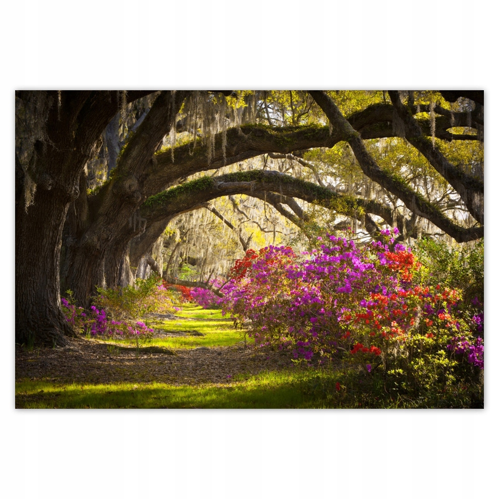 

Fototapety flizelina 152x104 Kwiaty w parku