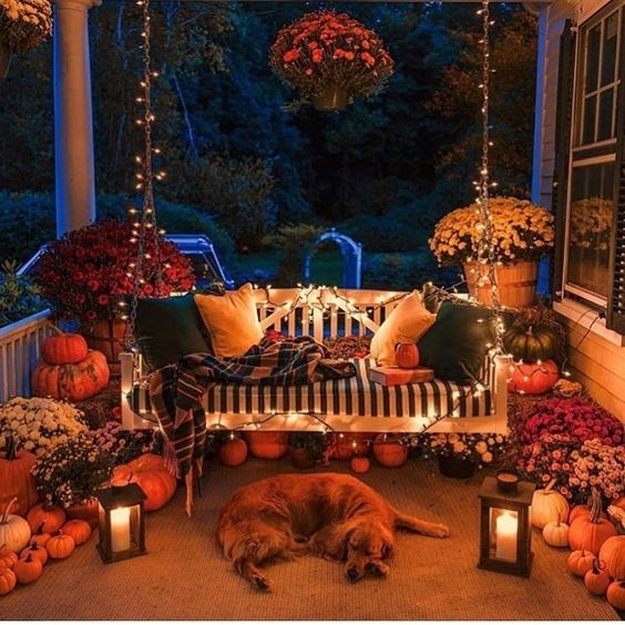 ŐSZI ASZTALI DEKORÁCIÓ MELEG INTENZÍV SZÍNEK 10 DB TÖK TOBOZ Darabszám a készletben 10 db