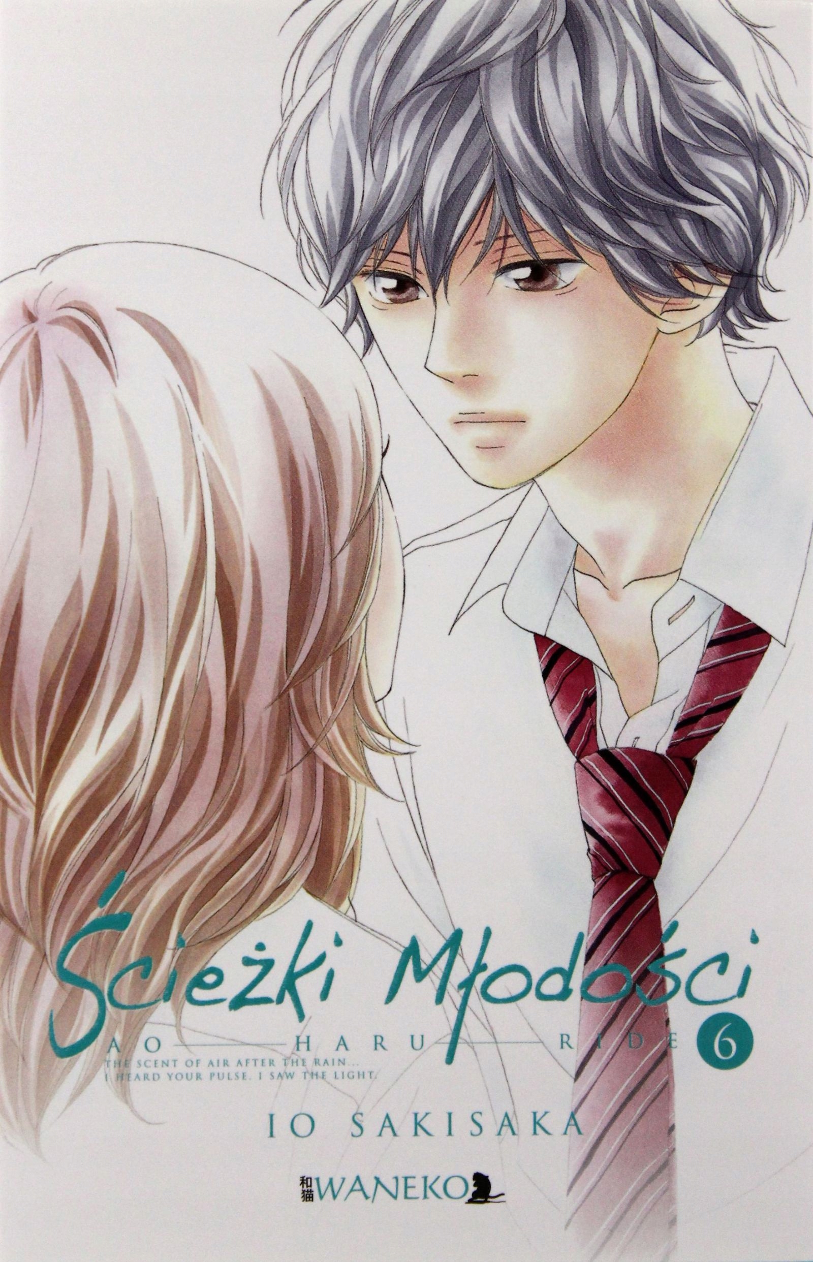 Ścieżki Młodości. Ao Haru Ride (tom 6) Io Sakisaka [komiks]