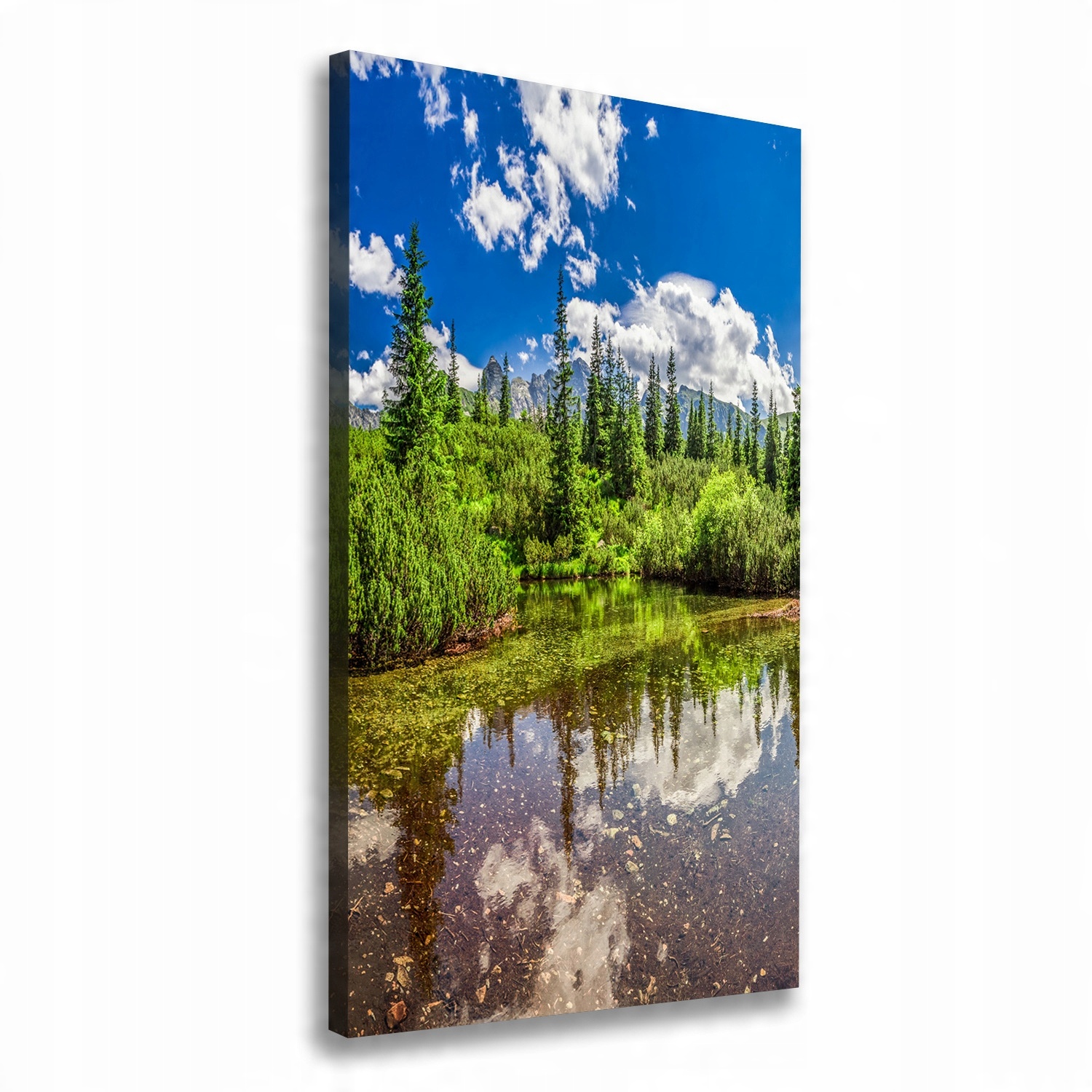 

Foto obraz na płótnie Jezioro w górach 70x140 cm