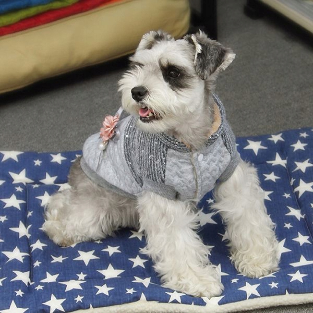 Levně Dobaz roztomilá bundička s flitry a broží, velikost M