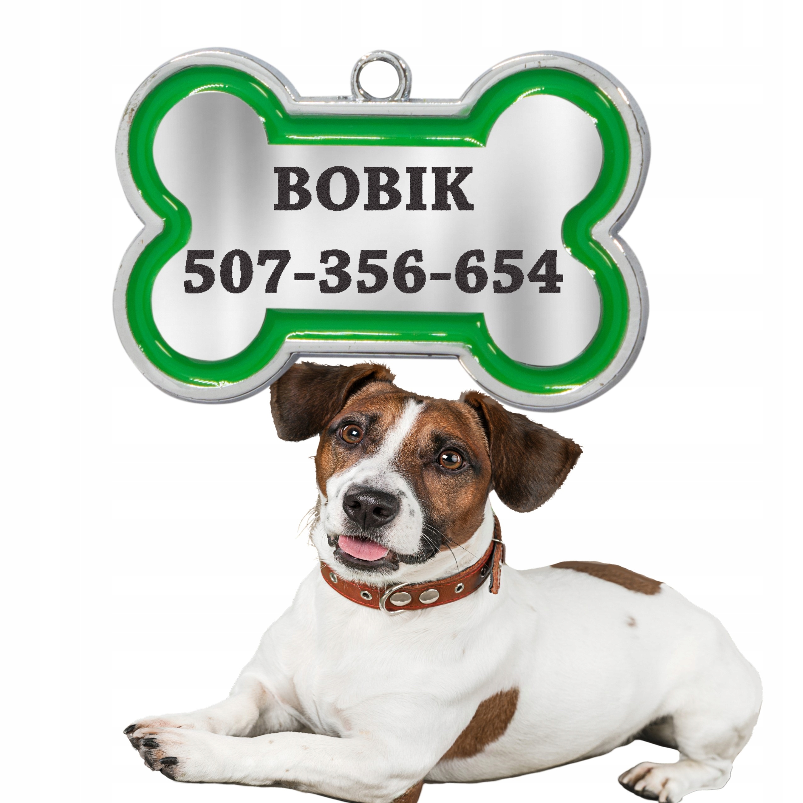 Kovový Identifikátor Adresovky Pro Psa, Kost