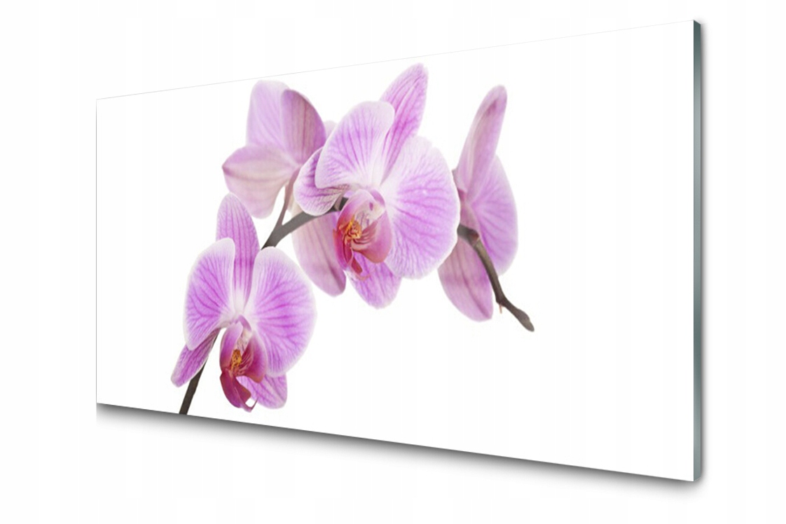 

Panel szklany dekor Kwiaty Roślina 120x60 + Klej