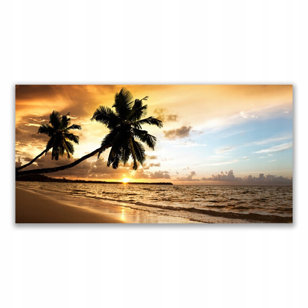 

Obraz akrylowy 120x60 Palma Drzewa Plaża Krajobraz