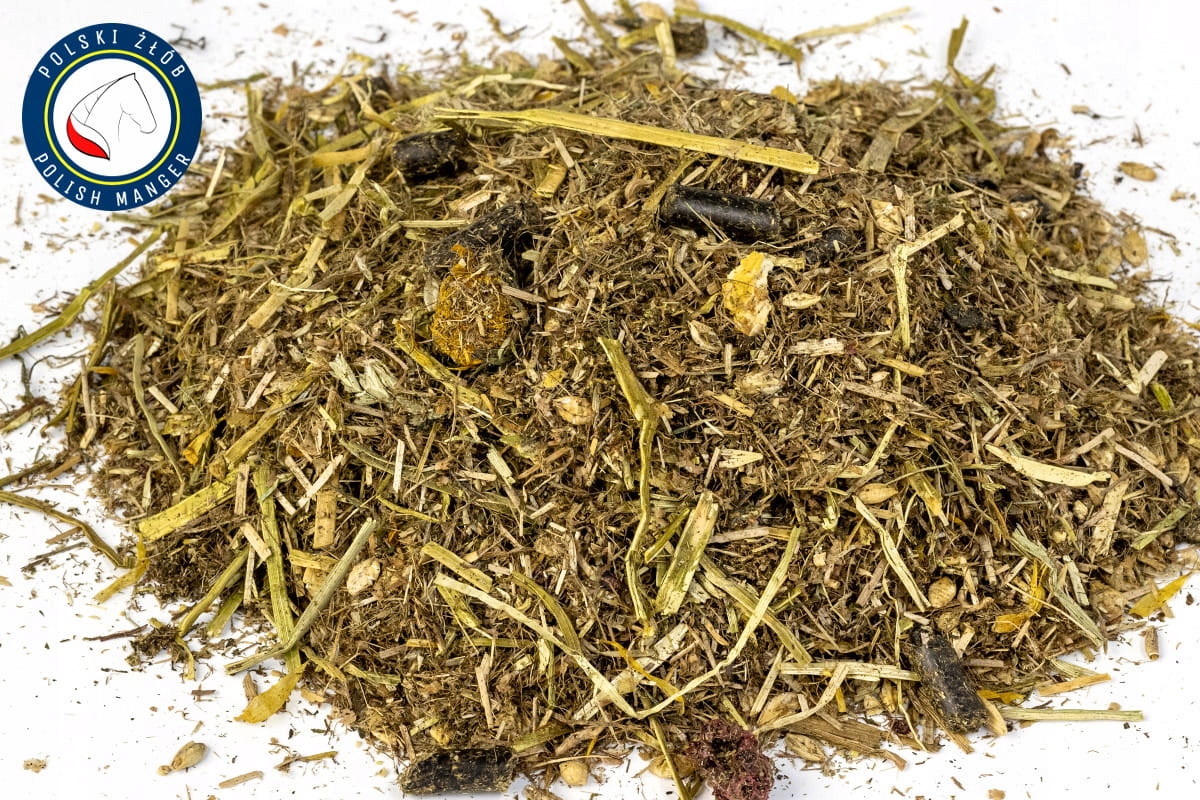 Krmivo pro sportovní koně – regenerace a posílení po cvičení