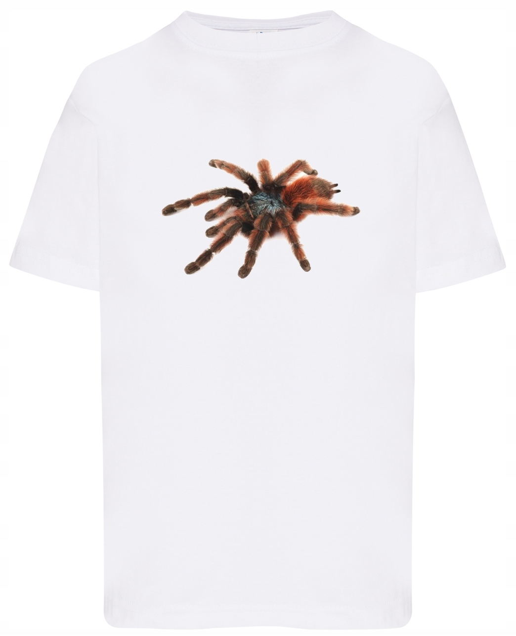 

Koszulka t-shirt Pająk Caribena versicolor 146/152