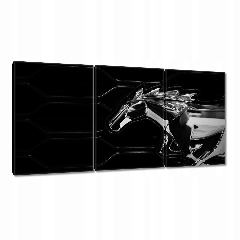 

Obrazy 120x60 Ford Mustang Samochód Usa