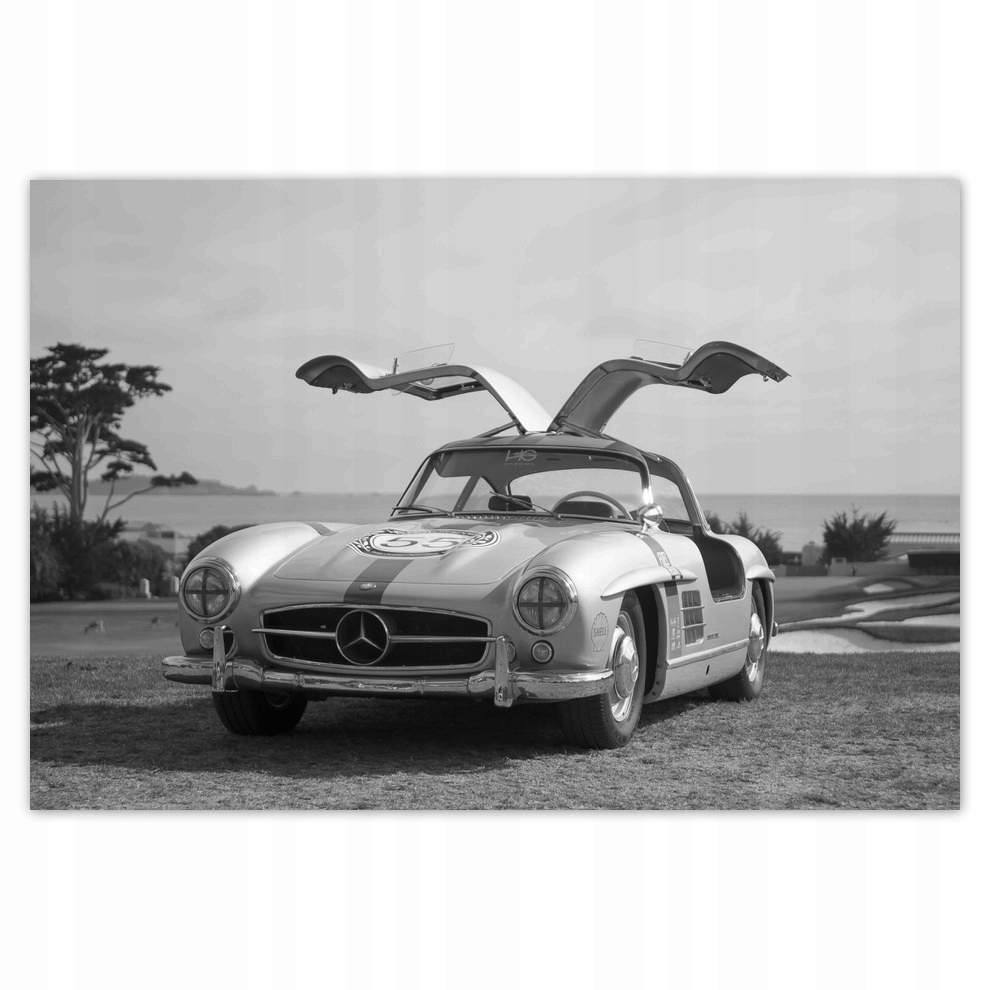 

Plakaty 155x105 Mercedes Gullwig