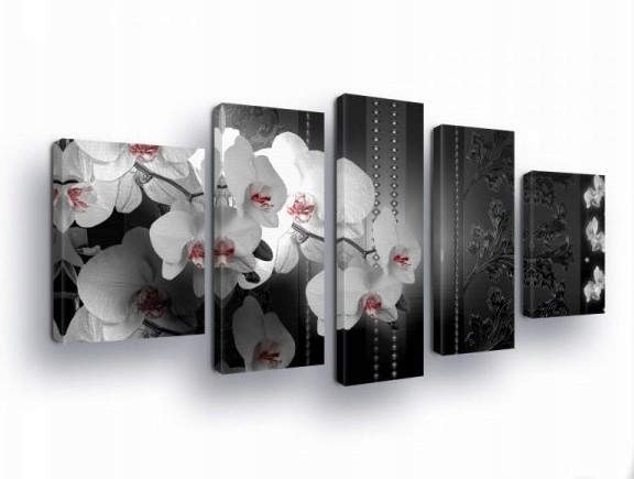 Obraz 170x100 Orchideje květiny černá bílá červená elegance příroda