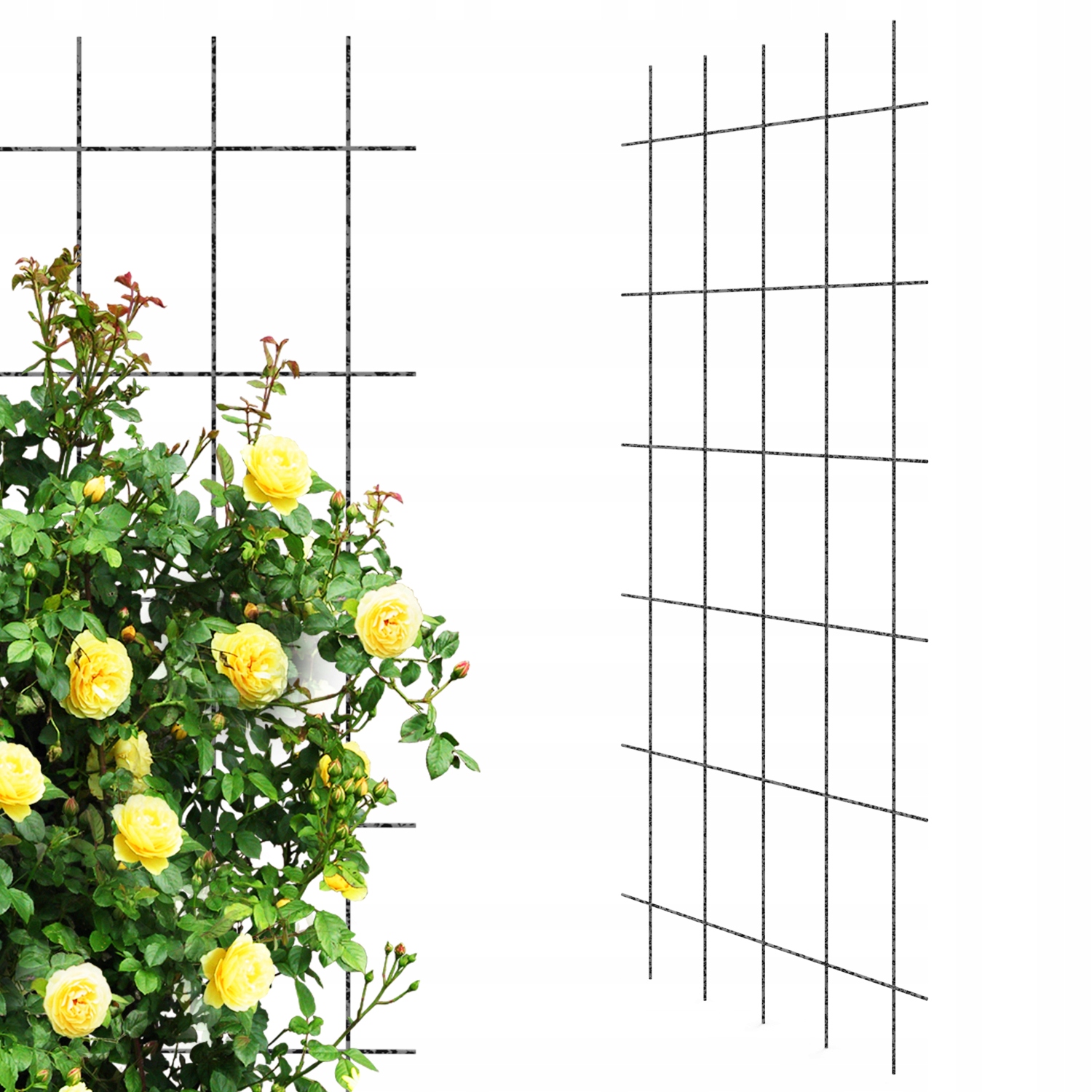 Krata Metalowa Podpora Na Pnącza 75x150 cm Pergola