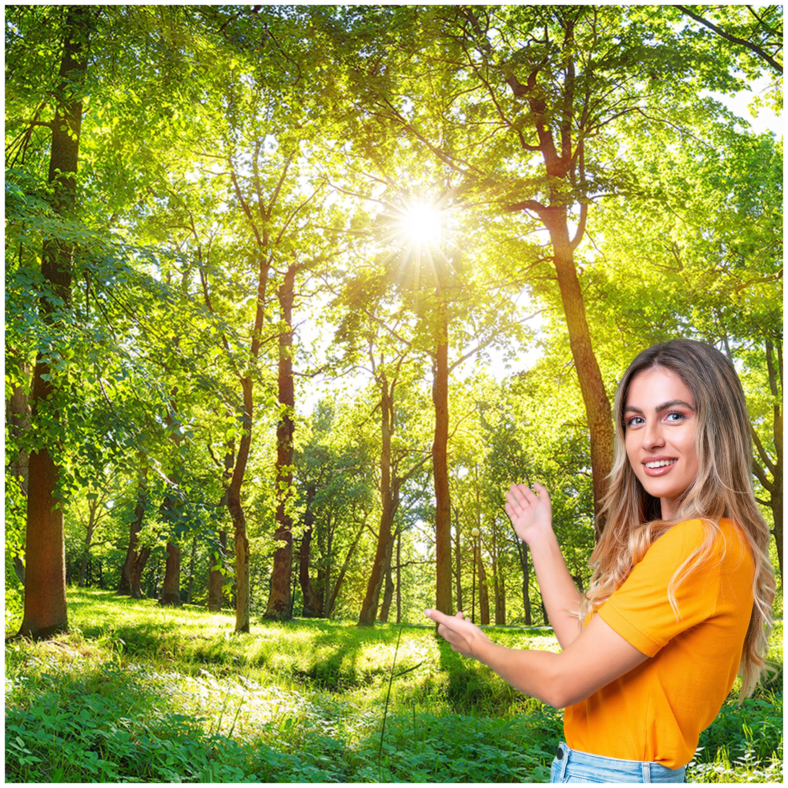 Fototapeta 3D Obývací Pokoj Ložnice Les Stromy Slunce 588x260 P04F