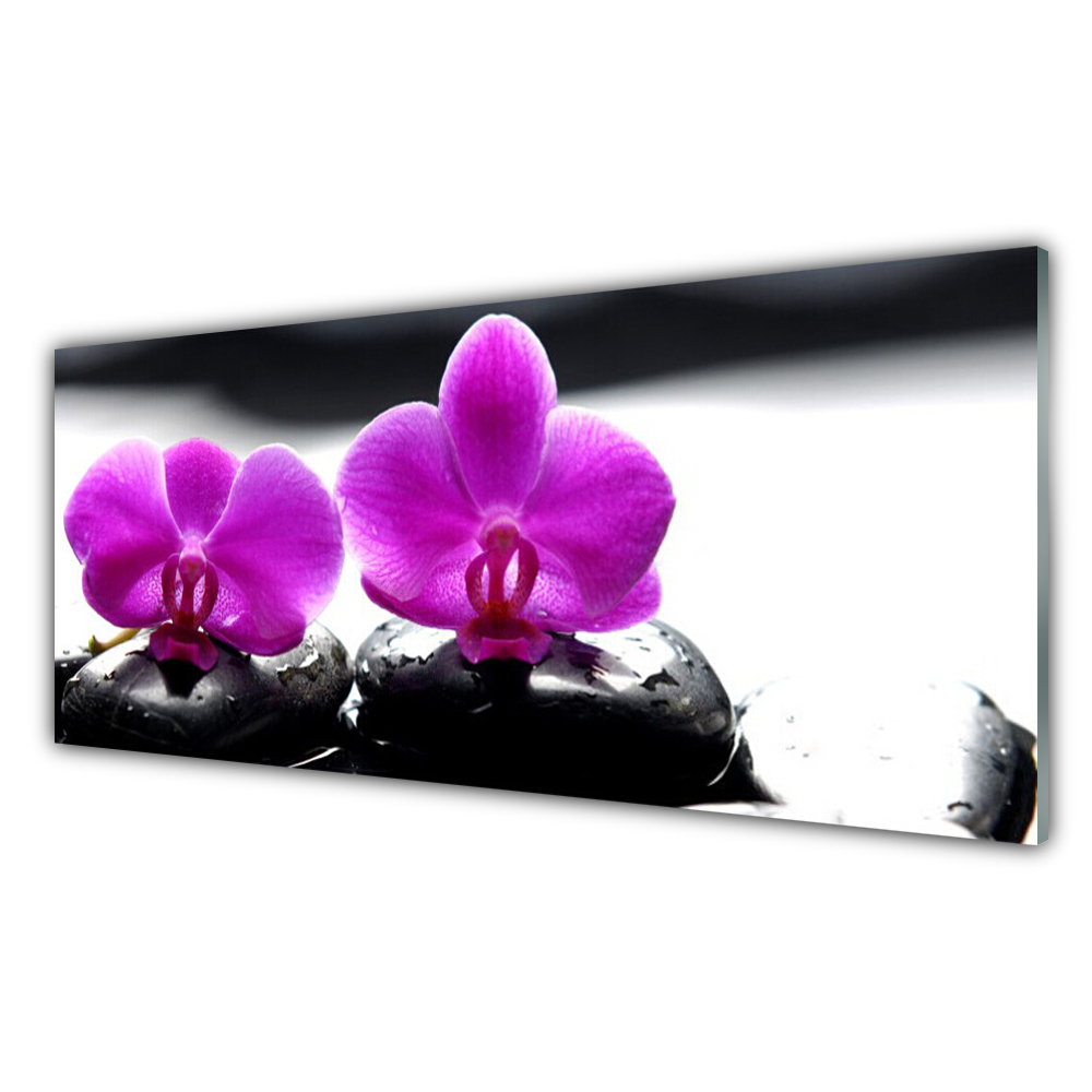 

Fotoobraz nowoczesny 125x50 Kwiaty Orchidea Natura