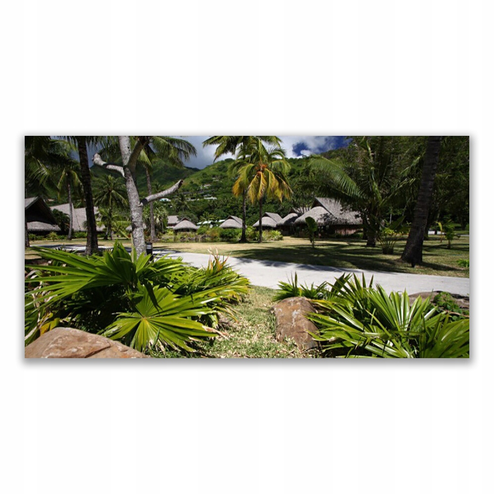 

Obraz akrylowy 120x60 Liście Palma Drzewa Natura